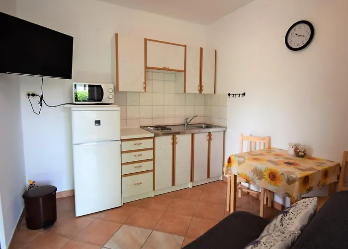 Gostinjska kuća Mica Lopar